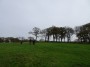 Alvechurch to Tanworth 59 Alvechurch to Tanworth 59