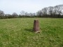 Alvechurch to Tanworth 65 Alvechurch to Tanworth 65