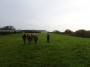 Alvechurch to Tanworth 73