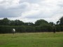 Alvechurch to Tanworth 85