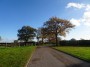 Alvechurch to Tanworth 86