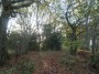 Alvechurch to Tanworth 98