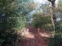 Alvechurch to Tanworth 99