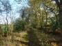 Alvechurch to Tanworth 100 Alvechurch to Tanworth 100
