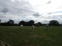 Alvechurch to Tanworth 111 Alvechurch to Tanworth 111