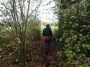Alvechurch to Tanworth 121