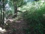 Alvechurch to Tanworth 124 Alvechurch to Tanworth 124