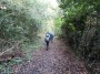 Alvechurch to Tanworth 133