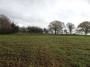 Alvechurch to Tanworth 141 Alvechurch to Tanworth 141