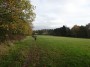 Alvechurch to Tanworth 144