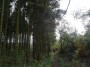 Tanworth to Henley-in-Arden 11