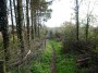 Tanworth to Henley-in-Arden 12