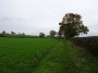 Tanworth to Henley-in-Arden 26 Tanworth to Henley-in-Arden 26