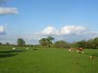 Tanworth to Henley-in-Arden 30