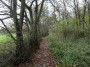 Tanworth to Henley-in-Arden 38