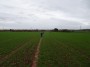 Tanworth to Henley-in-Arden 76