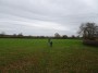 Tanworth to Henley-in-Arden 80