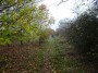 Tanworth to Henley-in-Arden 81