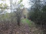 Tanworth to Henley-in-Arden 82