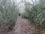 Tanworth to Henley-in-Arden 83