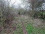 Tanworth to Henley-in-Arden 84