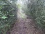 Tanworth to Henley-in-Arden 85