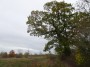 Tanworth to Henley-in-Arden 87