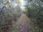 Tanworth to Henley-in-Arden 93