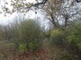 Tanworth to Henley-in-Arden 94