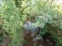 Henley-in-Arden to Aston Cantlow 8 Henley-in-Arden to Aston Cantlow 8