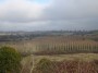 Henley-in-Arden to Aston Cantlow 16
