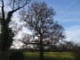 Henley-in-Arden to Aston Cantlow 42 Henley-in-Arden to Aston Cantlow 42