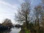 Henley-in-Arden to Aston Cantlow 62
