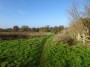Henley-in-Arden to Aston Cantlow 79