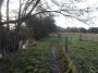 Henley-in-Arden to Aston Cantlow 92