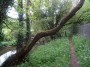 Henley-in-Arden to Aston Cantlow 99