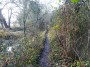 Henley-in-Arden to Aston Cantlow 100 Henley-in-Arden to Aston Cantlow 100