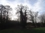 Henley-in-Arden to Aston Cantlow 115 Henley-in-Arden to Aston Cantlow 115