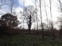 Henley-in-Arden to Aston Cantlow 121