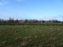 Henley-in-Arden to Aston Cantlow 131