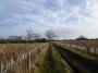 Aston&nbsp;Cantlow to Stratford 22