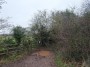 Stratford to Norton Lindsey 49