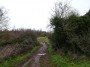 Stratford to Norton Lindsey 51