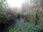 Stratford to Norton Lindsey 75