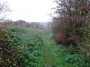 Stratford to Norton Lindsey 86