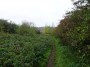 Stratford to Norton Lindsey 87 Stratford to Norton Lindsey 87