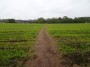 Stratford to Norton Lindsey 95