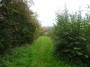 Stratford to Norton Lindsey 103 Stratford to Norton Lindsey 103
