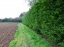 Stratford to Norton Lindsey 121