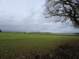 Stratford to Norton Lindsey 169 Stratford to Norton Lindsey 169